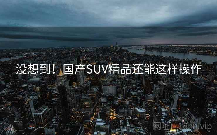 没想到!国产SUV精品还能这样操作